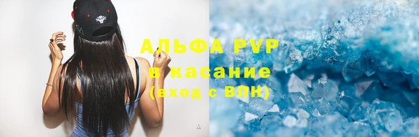стаф Алексин