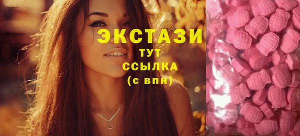 тгк Абаза