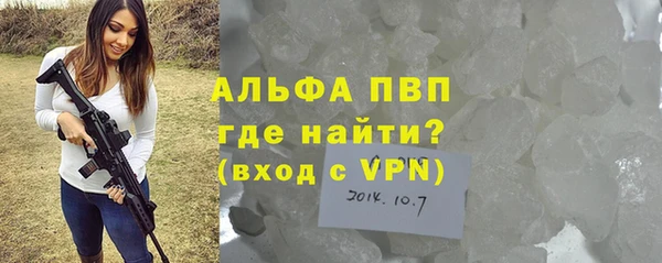 стаф Алексин