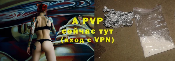 стаф Алексин